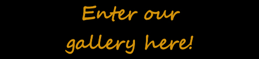 Link to Gallery